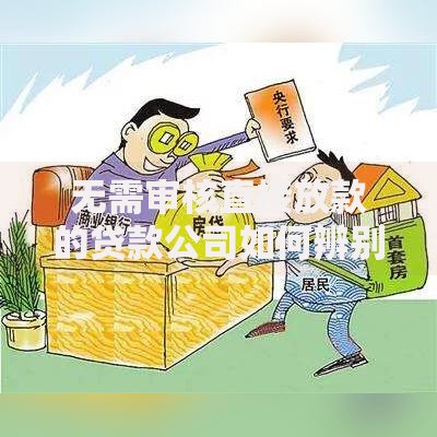 无需审核直接放款的贷款公司如何辨别合法性