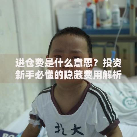 进仓费是什么意思？投资新手必懂的隐藏费用解析