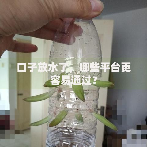 口子放水了，哪些平台更容易通过？