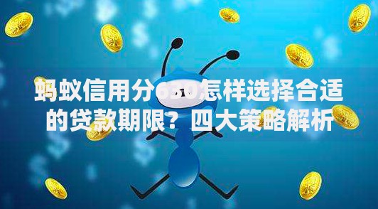 蚂蚁信用分630怎样选择合适的贷款期限？四大策略解析