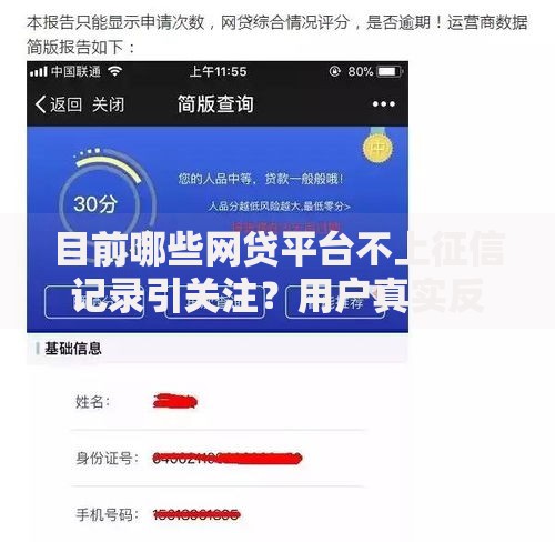 目前哪些网贷平台不上征信记录引关注？用户真实反馈与风险解析