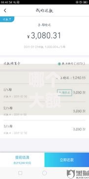 哪个大额口子秒到账的？高额度快速放款渠道解析