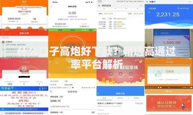 什么口子高炮好下款？精选高通过率平台解析