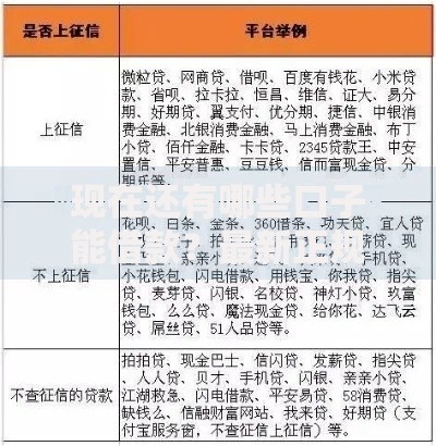 现在还有哪些口子能借款？最新正规渠道深度解析