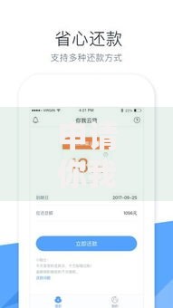 申请你我云贷需要哪些条件？流程解析与注意事项