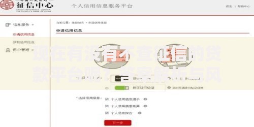 现在有没有不查征信的贷款平台呢？答案解析与风险提示