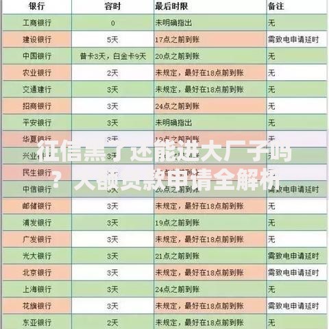 征信黑了还能进大厂子吗？大额贷款申请全解析