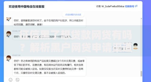 征信黑了想贷款网贷有吗？解析黑户网贷申请渠道与风险