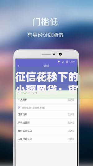 征信花秒下的小额网贷：审核宽松的借款渠道解析