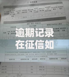 逾期记录在征信如何影响贷款申请？权威解析