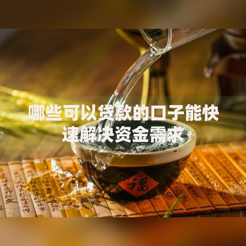 哪些可以贷款的口子能快速解决资金需求