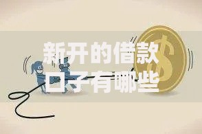 新开的借款口子有哪些优势与风险？