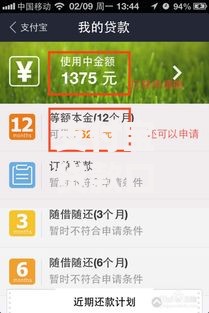 支付宝贷款口子在哪里？官方渠道与隐藏入口解析