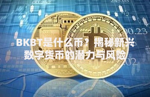 BKBT是什么币？揭秘新兴数字货币的潜力与风险