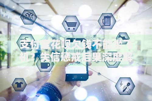 支付宝花呗欠钱不能坐飞机？失信惩戒后果深度解析