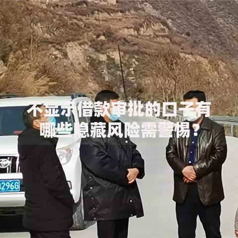 不显示借款审批的口子有哪些隐藏风险需警惕？