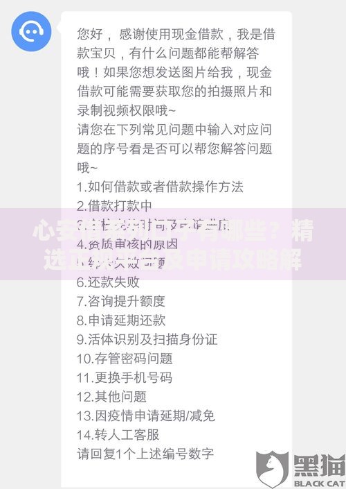 心安借系列口子有哪些？精选正规平台及申请攻略解析