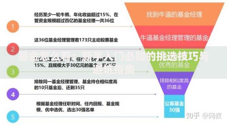 基金怎么看：新手入门必知的挑选技巧与避坑指南