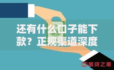 还有什么口子能下款？正规渠道深度解析