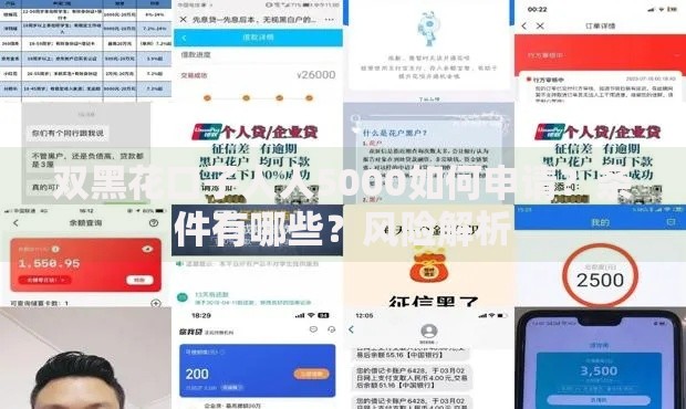 双黑花口子人人5000如何申请？条件有哪些？风险解析