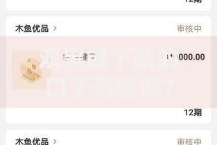 双黑能下款的口子有哪些？申请条件及注意事项解析