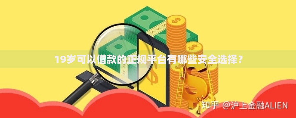 19岁可以借款的正规平台有哪些安全选择？