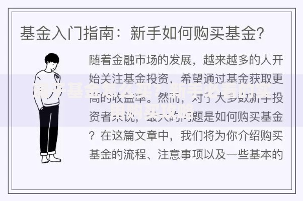 瑞子基金怎么买？新手必看的实用购买攻略
