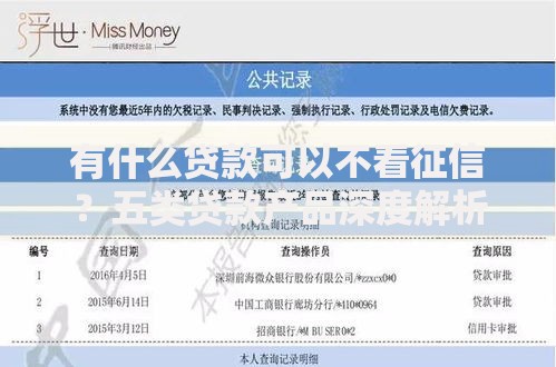 有什么贷款可以不看征信？五类贷款产品深度解析