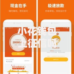 小花钱包上征信吗？最新信用影响深度解析
