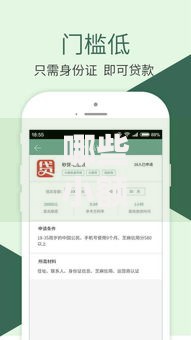 哪些小额贷款口子好？精选平台解析与申请指南