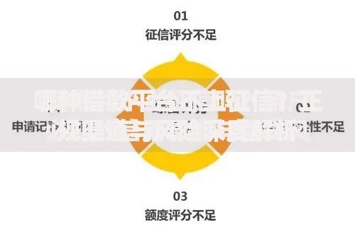 哪种借款平台不上征信？正规渠道与风险深度解析