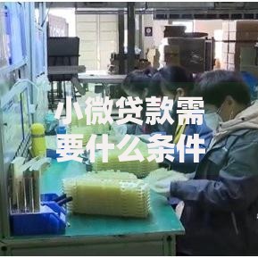 小微贷款需要什么条件?企业主必看申请指南 小微贷款需要什么条件?企业主必看申请指南
