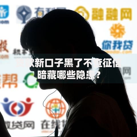 贷款新口子黑了不查征信暗藏哪些隐患？