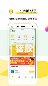 扑满猪放水口子叫什么？贷款渠道解析与申请指南