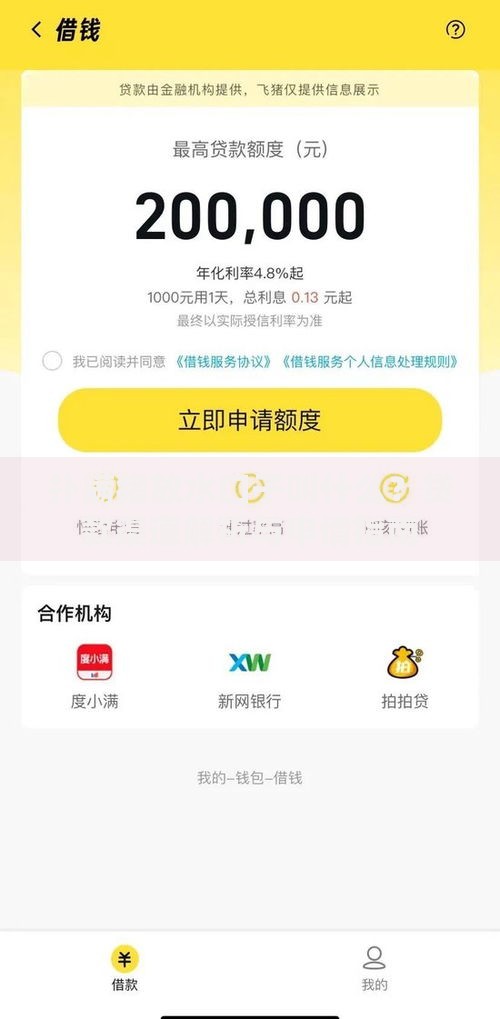 扑满猪放水口子叫什么？贷款渠道解析与申请指南