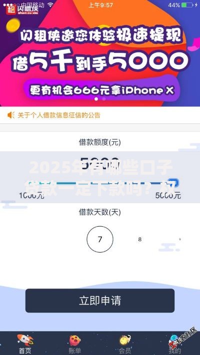 2025年有哪些口子贷款一定下款吗？权威解析及申请攻略