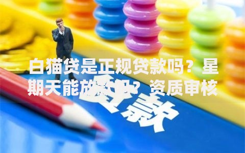 白猫贷是正规贷款吗？星期天能放款吗？资质审核与放款时间全解析