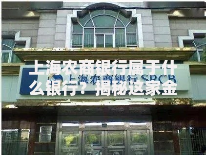 上海农商银行属于什么银行？揭秘这家金融机构的独特定位