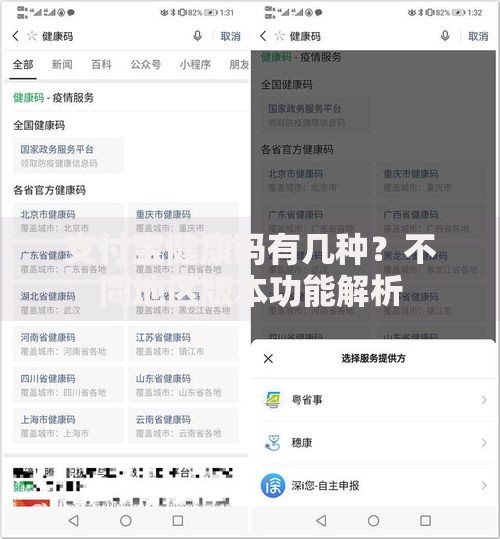 支付宝健康码有几种？不同地区版本功能解析