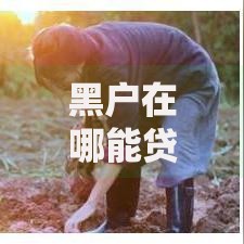 黑户在哪能贷款啊？解析信用不良者的合规借贷渠道