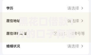 黑花口借款1万的口子有哪些？最新申请攻略解析