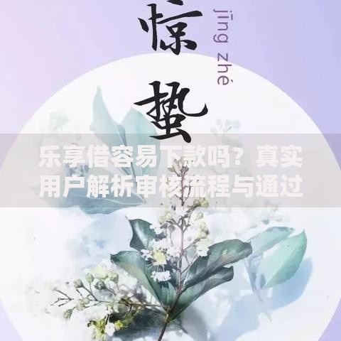 乐享借容易下款吗？真实用户解析审核流程与通过技巧
