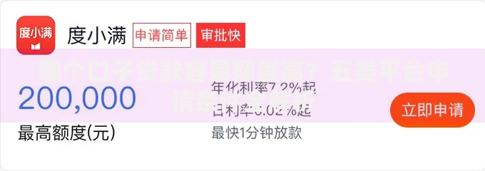 哪个口子贷款容易额度高？五类平台申请条件全解析
