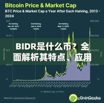 BIDR是什么币？全面解析其特点、应用与未来潜力