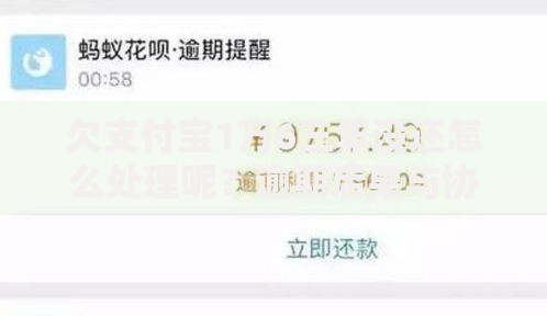 欠支付宝1万6三年没还怎么处理呢？逾期后果与协商方案解析