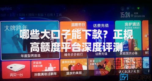哪些大口子能下款？正规高额度平台深度评测