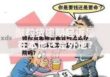 微粒贷逾期起诉是在本地还是外地？法律管辖解析