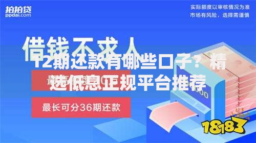 12期还款有哪些口子？精选低息正规平台推荐