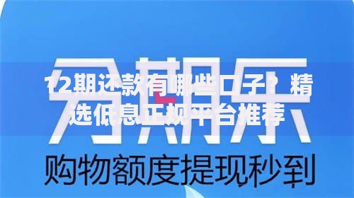 12期还款有哪些口子？精选低息正规平台推荐