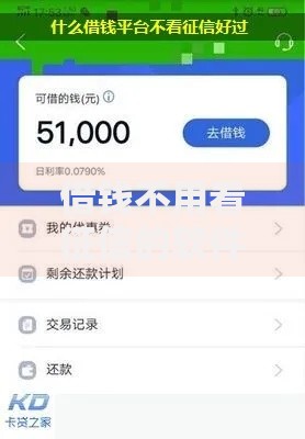 借钱不用看征信的软件有哪些靠谱选择？